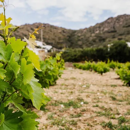 Orkos Naxian Wave 3 * Mikri Vigla