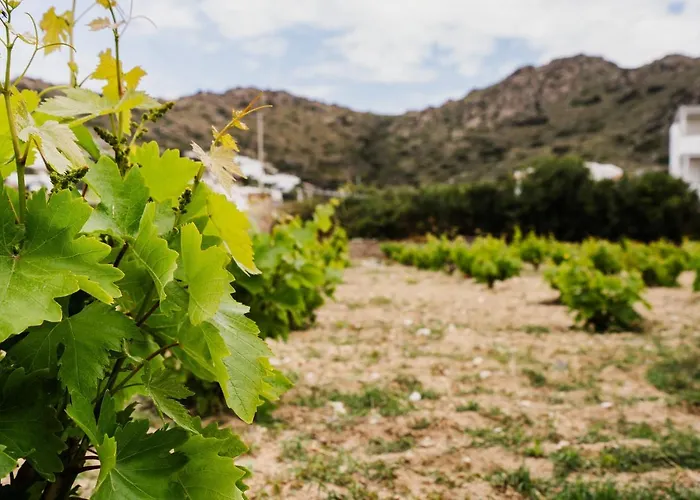 Orkos Naxian Wave 3 * Mikri Vigla